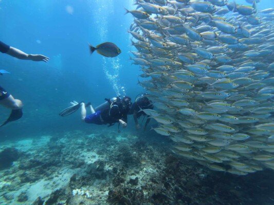 Discover Scuba Diving