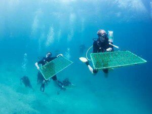 Coral transporting