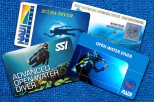 10 Basic Scuba Diving Safety Rules