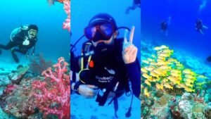 Dive Tours to Koh Tao from Koh Samui