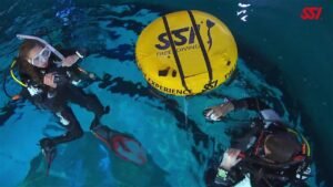 PADI Open Water Course: Skills to Learn and Differences with SSI