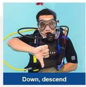 Go Down