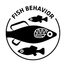 crocodile needlefish