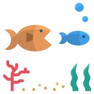 Pipefishs