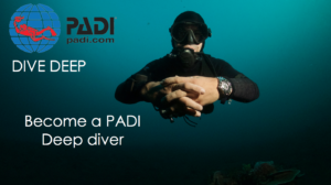 Deep Diver Specialtey Course