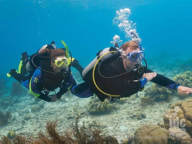 Underwater Navigator Specialtey Course
